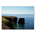 Nature's Treasure Greeting Card