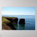 Nature's Treasure Poster posters