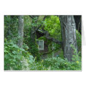 Nature's Window cards