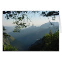 Nature's Window II cards