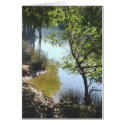 Nature's Window III cards