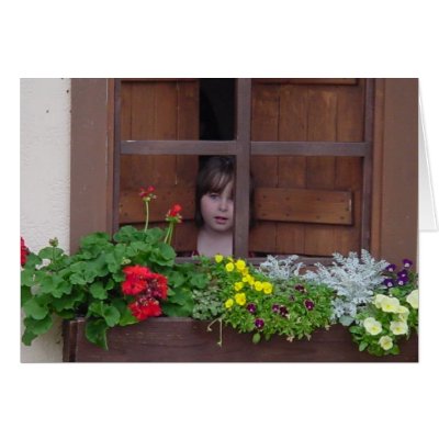 Nature's Window IV Cards by sumiko