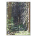 Nature's Window V cards