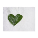 Nature's Winter Snow Romantic Heart of Love postcards