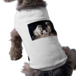 Naughty kittens cats playing with basket adorable pet clothing