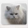 Naughty little kitten mouse pad