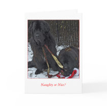 Naughty or Nice? Cards