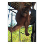 Naughty Primate Potty Break Greeting Card