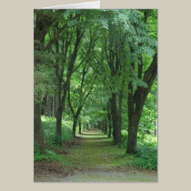 Naumkeag Path cards