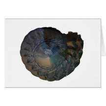nautalis shell greeting card