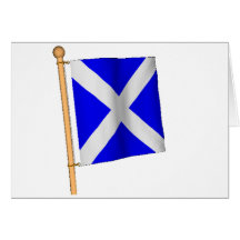 Nautical Flag 'M' Cards
