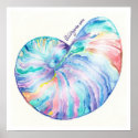 Nautilus Infinity Fine Art Print and Poster