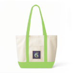 Nautilus shell bag