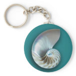 Nautilus Shell Key Chain