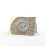 Nautilus Thank You