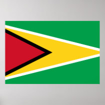 Naval Ensign Of Guyana, Guinea-Bissau Print