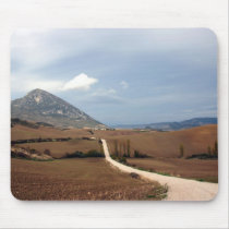 Navarra Camino