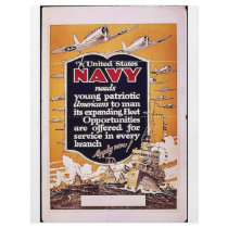 Navy Flyer Design