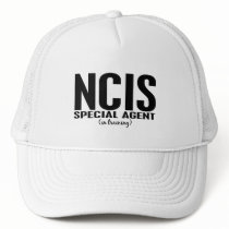 NCIS Special Agent In Training 1