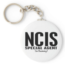 NCIS Special Agent In Training 1