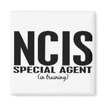 NCIS Special Agent In Training 1