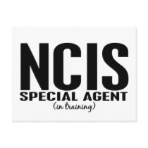 NCIS Special Agent In Training 1