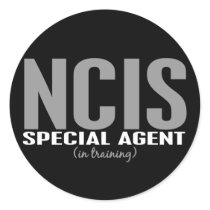 NCIS Special Agent In Training 1