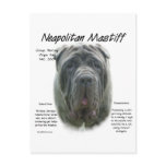 Neapolitan Mastiff (grey) History Design postcards