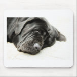 Neapolitan Mastiff Mouse Pads