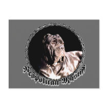Neapolitan mastiff postcard