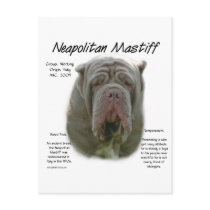 Neapolitan Mastiff (tawny) History Design