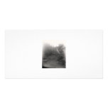 Near Hampshire College photo cards