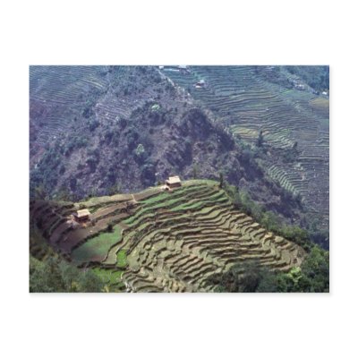 Near Tapelijung, Nepal Post Cards