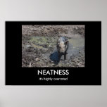 NEATNESS POSTER
