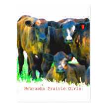 Nebraska Prairie Girls Post Card