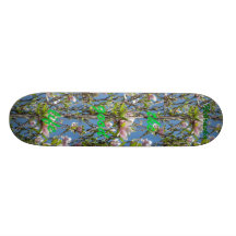 Nebraska, the good life Skateboard