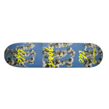 Nebraska, the good life Skateboard