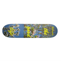 Nebraska, the good life Skateboard
