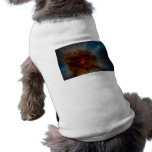 Nebula 4 pet clothing