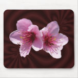 Nectarine Blossom ~ mousepad