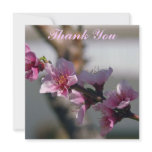 necterine wedding thank you invitations