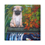 Need a Friend? Magnet