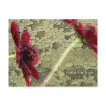 need for love postcard
