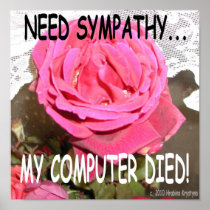 NEED SYMPATHY MY COMPUTER DIED POSTER