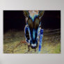Neigh Posters