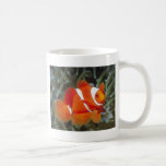 nemo fish coffee mug