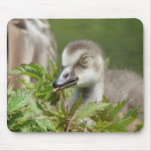 Nene Chick Mousepads