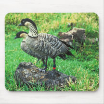 Nene Geese (Hawaiian) Mouse Pad