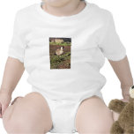 Nene Goose (Hawaiian goose) Tees