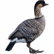 Nene (Hawaiian Goose) Photo Sculpture Pin
